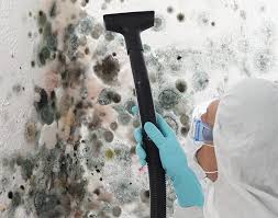 Best Black Mold Removal  in Mansfield, PA